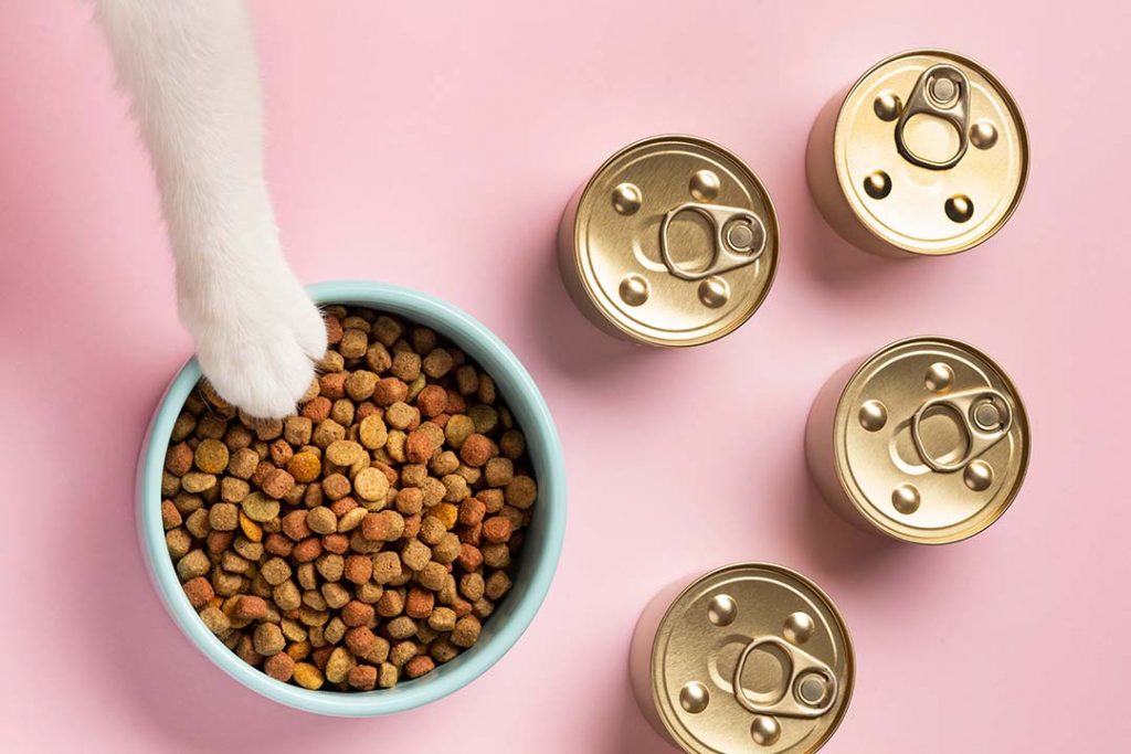 Comida de gato en un bol y en latas cerradas. Una pata blanca gatuna asoma hacia el cuenco de comida.