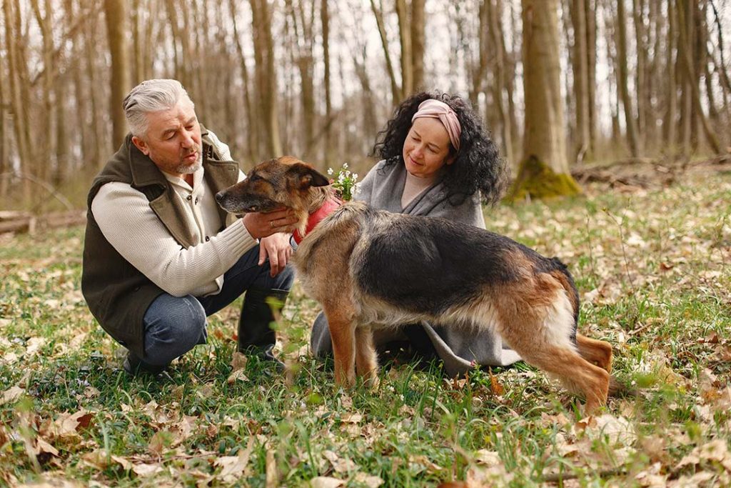 Pareja adulta cuida de su perro geriátrico pasto alemán